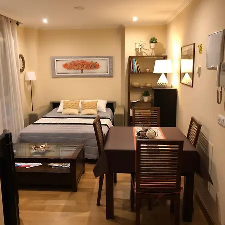 Apartman Centrica De Lujo Parking Incluido